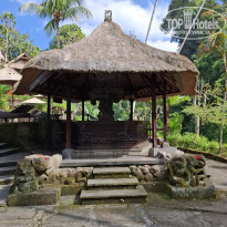 фото из отзыва ID 2723565