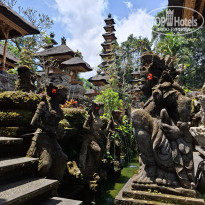 фото из отзыва ID 2723565