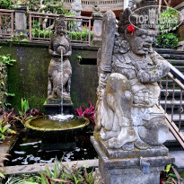 фото из отзыва ID 2723565