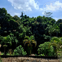 фото из отзыва ID 2723565