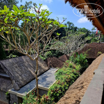 фото из отзыва ID 2723565