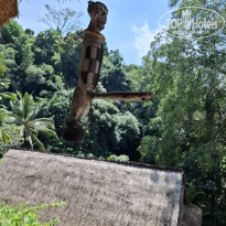 фото из отзыва ID 2723565