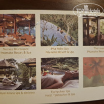 фото из отзыва ID 2723565