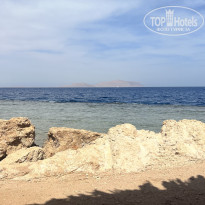 фото из отзыва ID 2723590