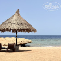 фото из отзыва ID 2723590