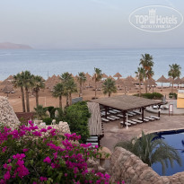 фото из отзыва ID 2723590