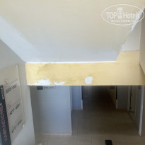 фото из отзыва ID 2723600