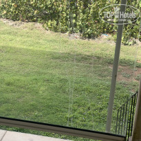 фото из отзыва ID 2723600