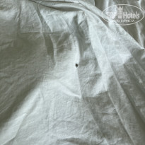 фото из отзыва ID 2723600