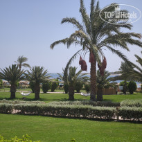 фото из отзыва ID 2723608