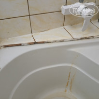 фото из отзыва ID 2723615