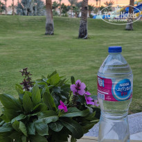 фото из отзыва ID 2723617