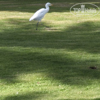 фото из отзыва ID 2723617