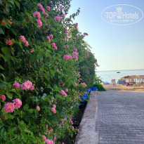 фото из отзыва ID 2723642