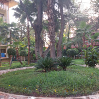 фото из отзыва ID 2723642