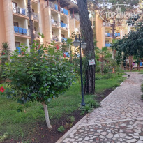 фото из отзыва ID 2723642