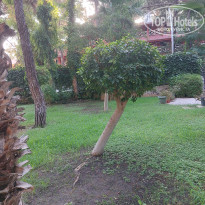 фото из отзыва ID 2723642