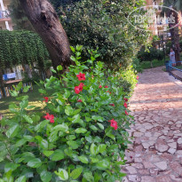 фото из отзыва ID 2723642