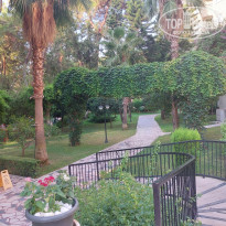 фото из отзыва ID 2723642