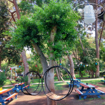 фото из отзыва ID 2723642