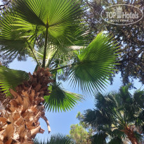 фото из отзыва ID 2723642