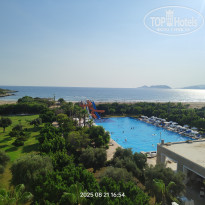 фото из отзыва ID 2723639