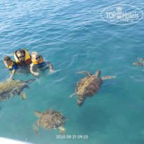 фото из отзыва ID 2723639