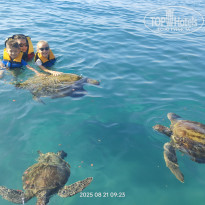 фото из отзыва ID 2723639