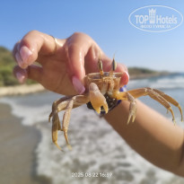 фото из отзыва ID 2723639