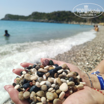 фото из отзыва ID 2723639