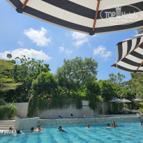 фото из отзыва ID 2723653