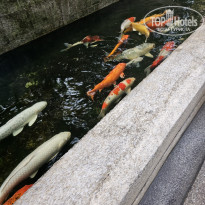 фото из отзыва ID 2723653