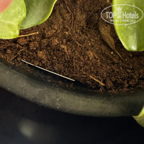 фото из отзыва ID 2723656