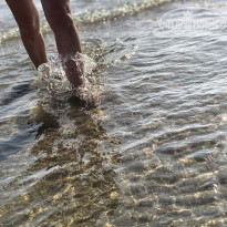 фото из отзыва ID 2723667