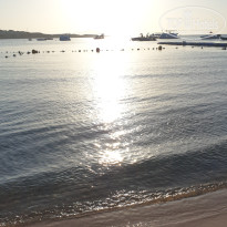 фото из отзыва ID 2723674