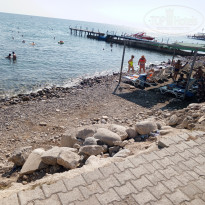 фото из отзыва ID 2723679