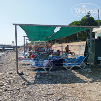 фото из отзыва ID 2723679