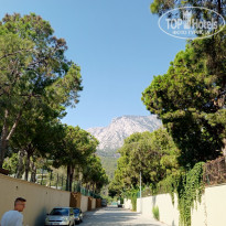 фото из отзыва ID 2723679