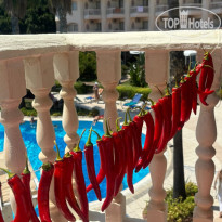 фото из отзыва ID 2723716