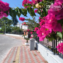 фото из отзыва ID 2723716