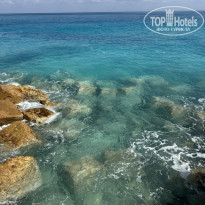 фото из отзыва ID 2723720