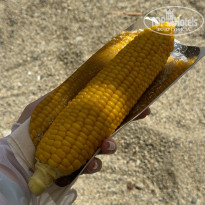 фото из отзыва ID 2723751