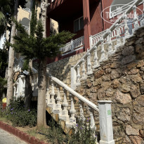 фото из отзыва ID 2723751