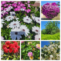 фото из отзыва ID 2723775