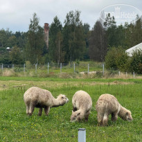 фото из отзыва ID 2723760