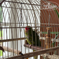 фото из отзыва ID 2723760