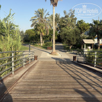 фото из отзыва ID 2723771