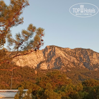 фото из отзыва ID 2723795