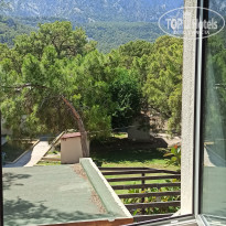 фото из отзыва ID 2723795