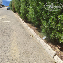 фото из отзыва ID 2723812